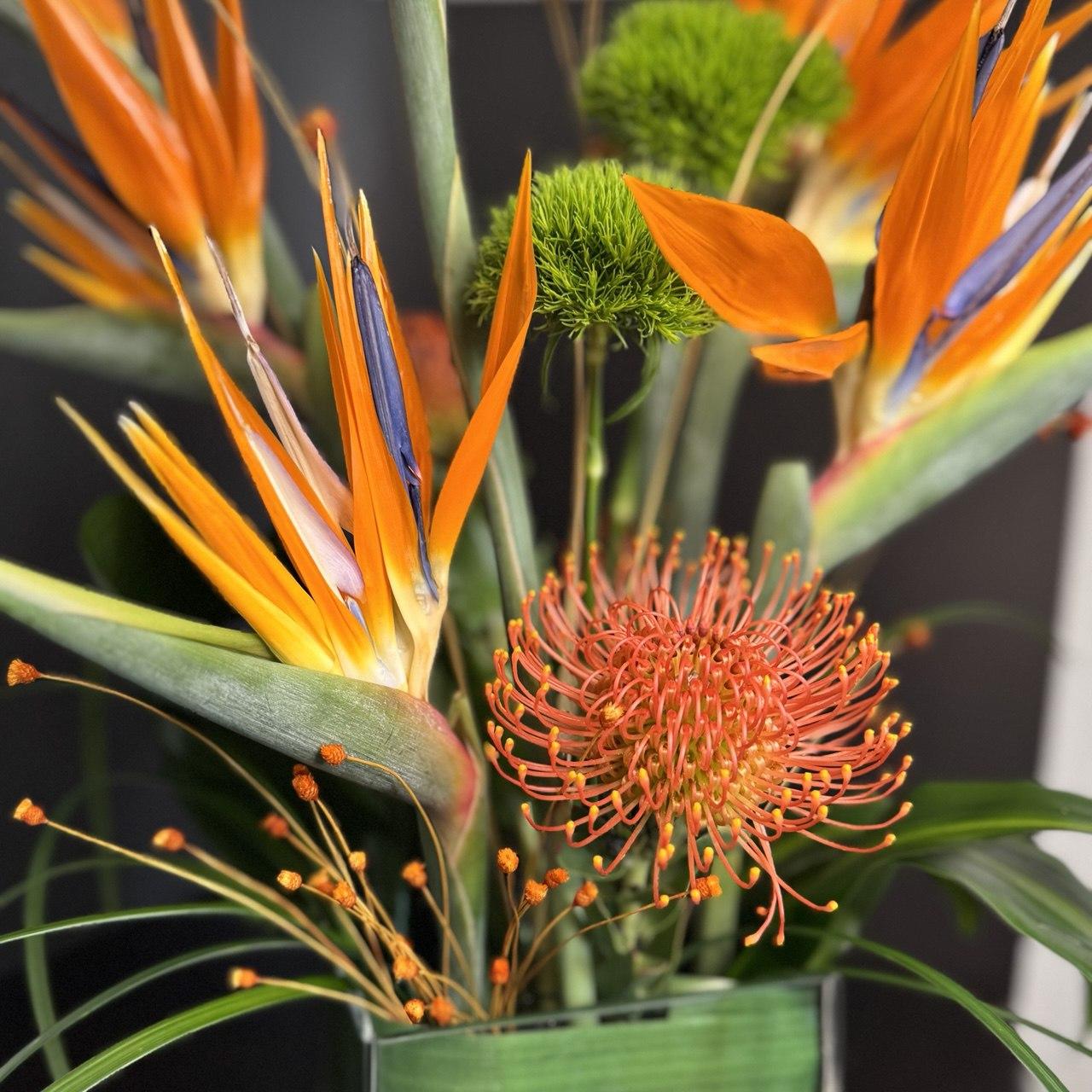 Tropic Bird with Protea Pincussion