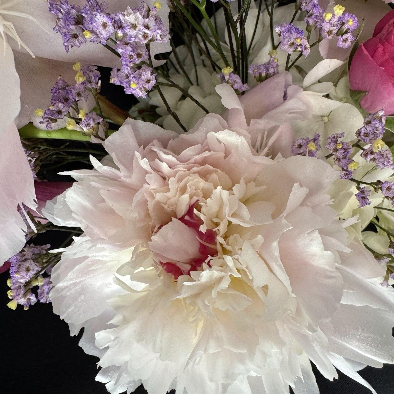 White Peonies - image 2