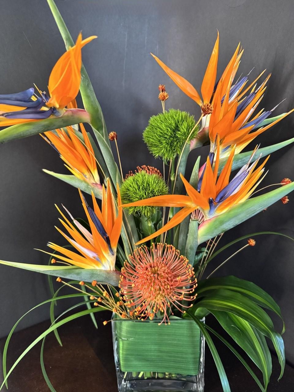 Tropic Bird with Protea Pincussion - image 4