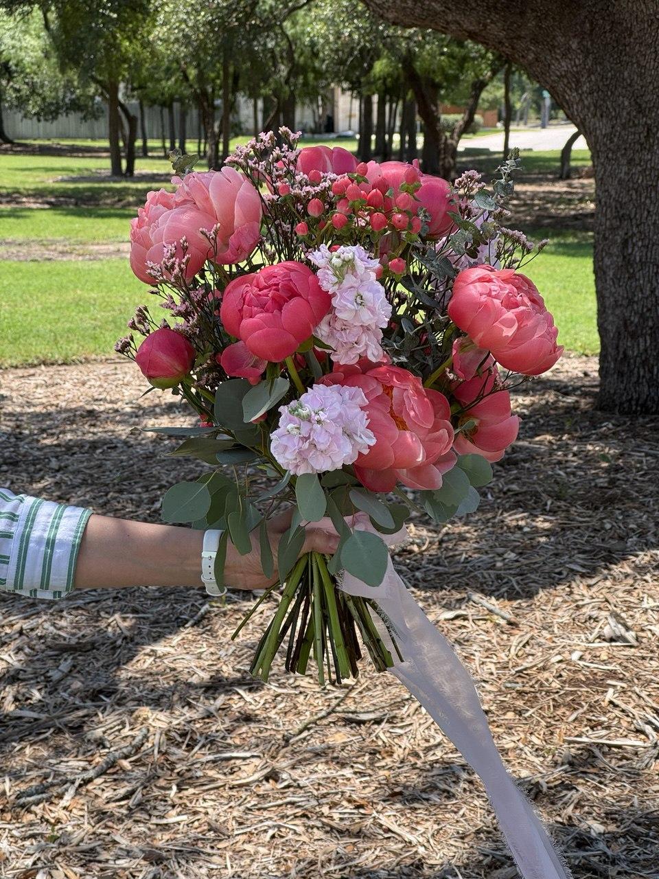 10 Coral Charm Peonies - image 3