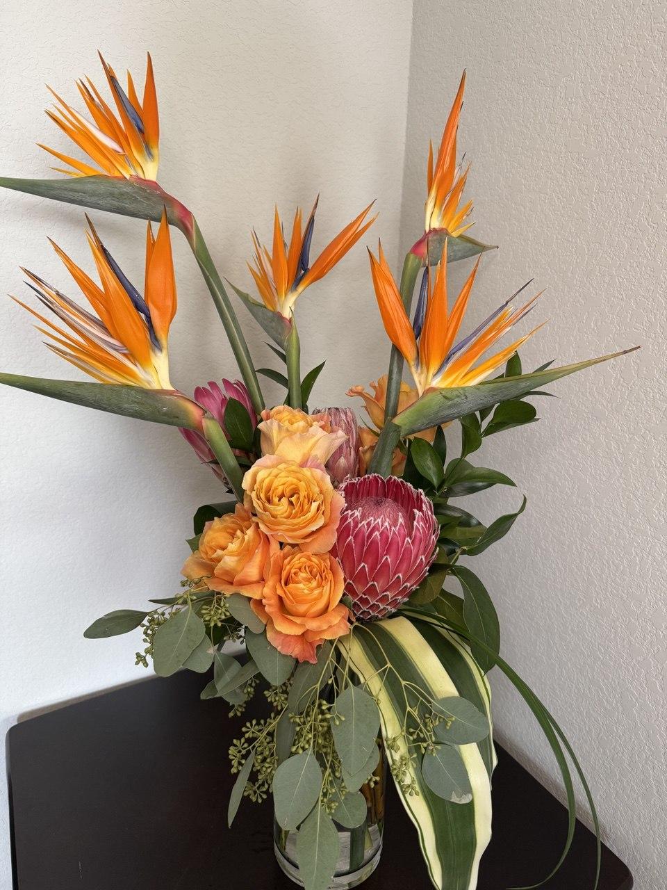 Tropic Protea King - image 3