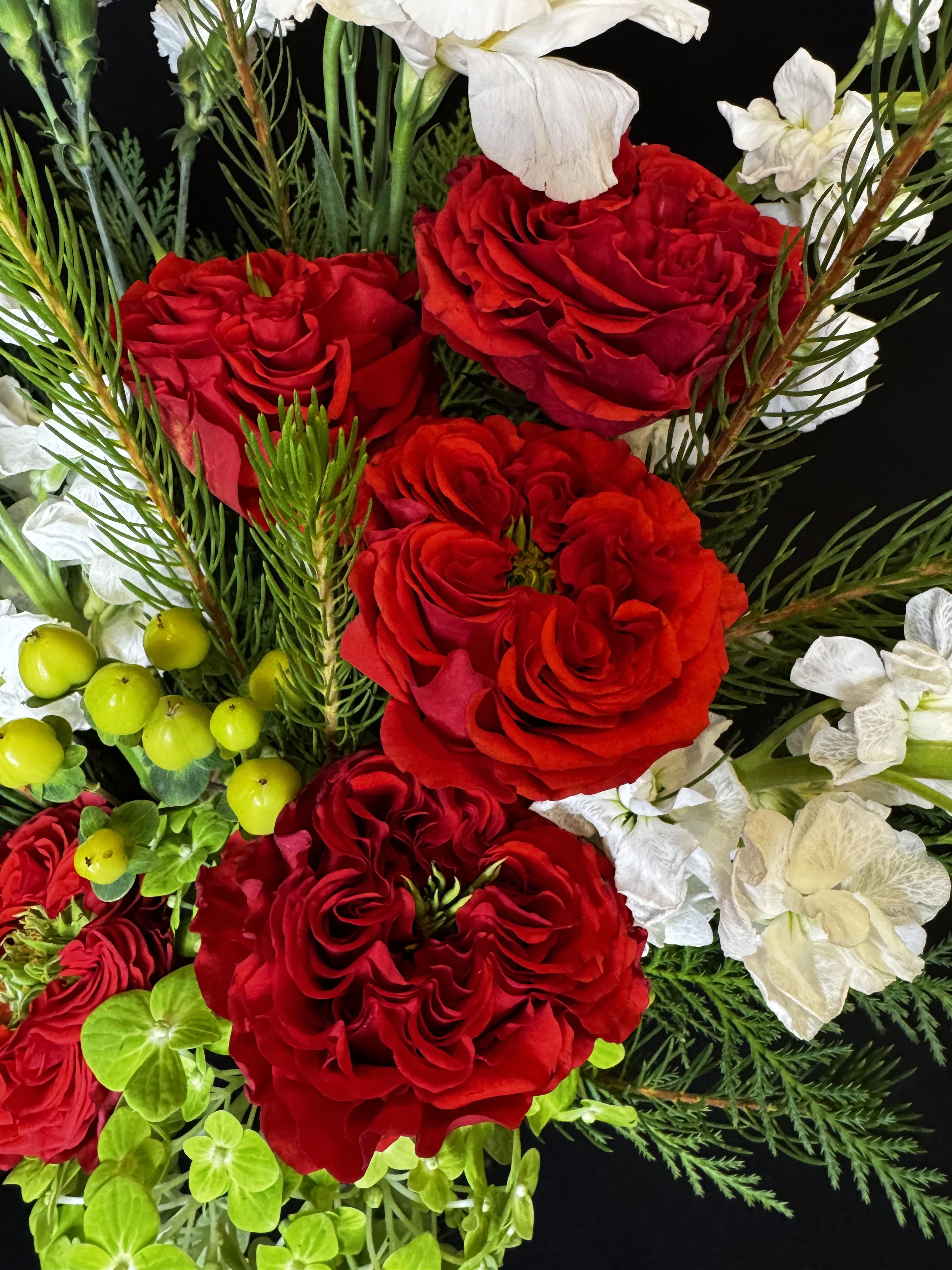 Texas Scarlet Christmas - image 3