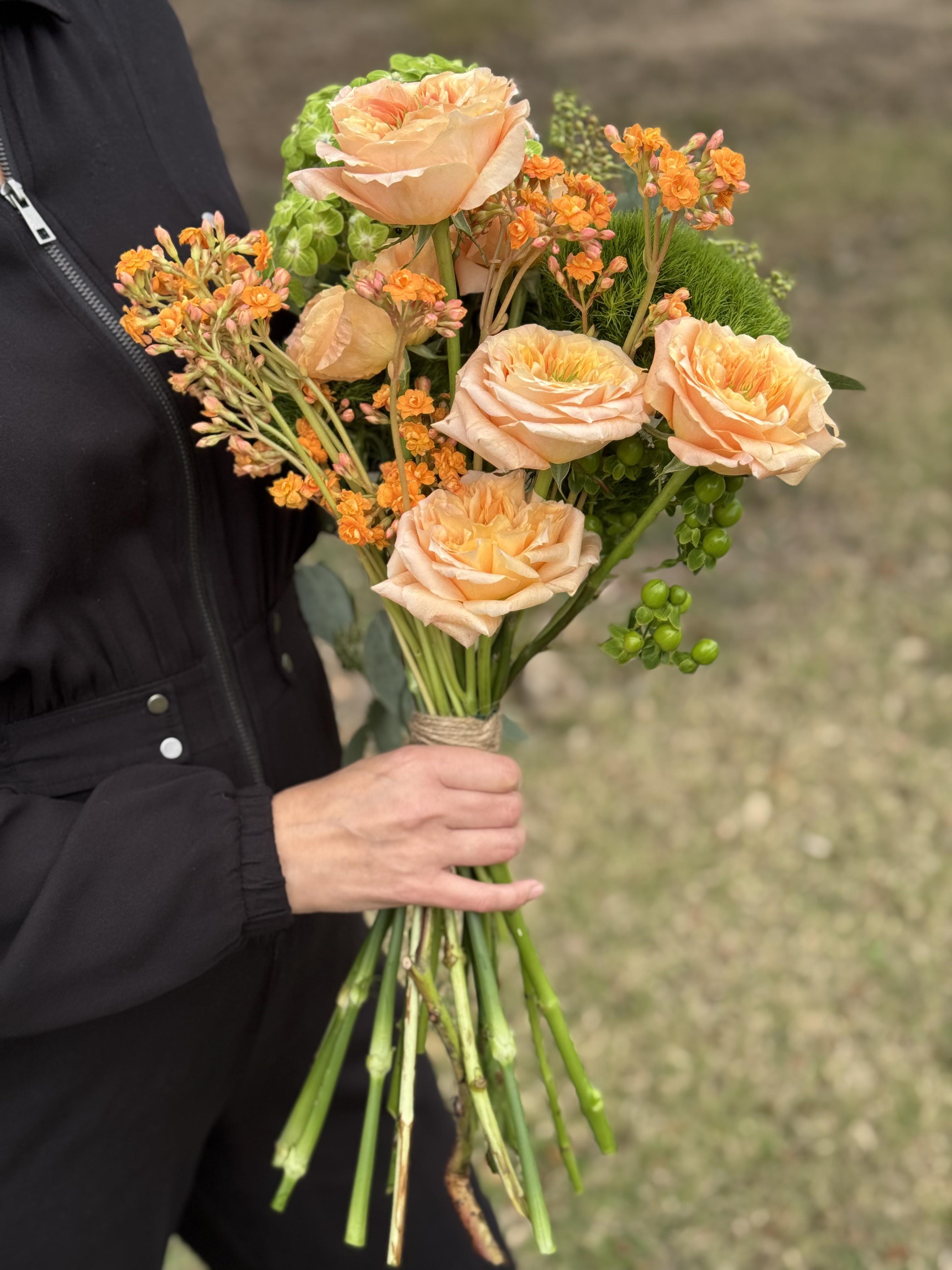 Royal Apricot - image 3