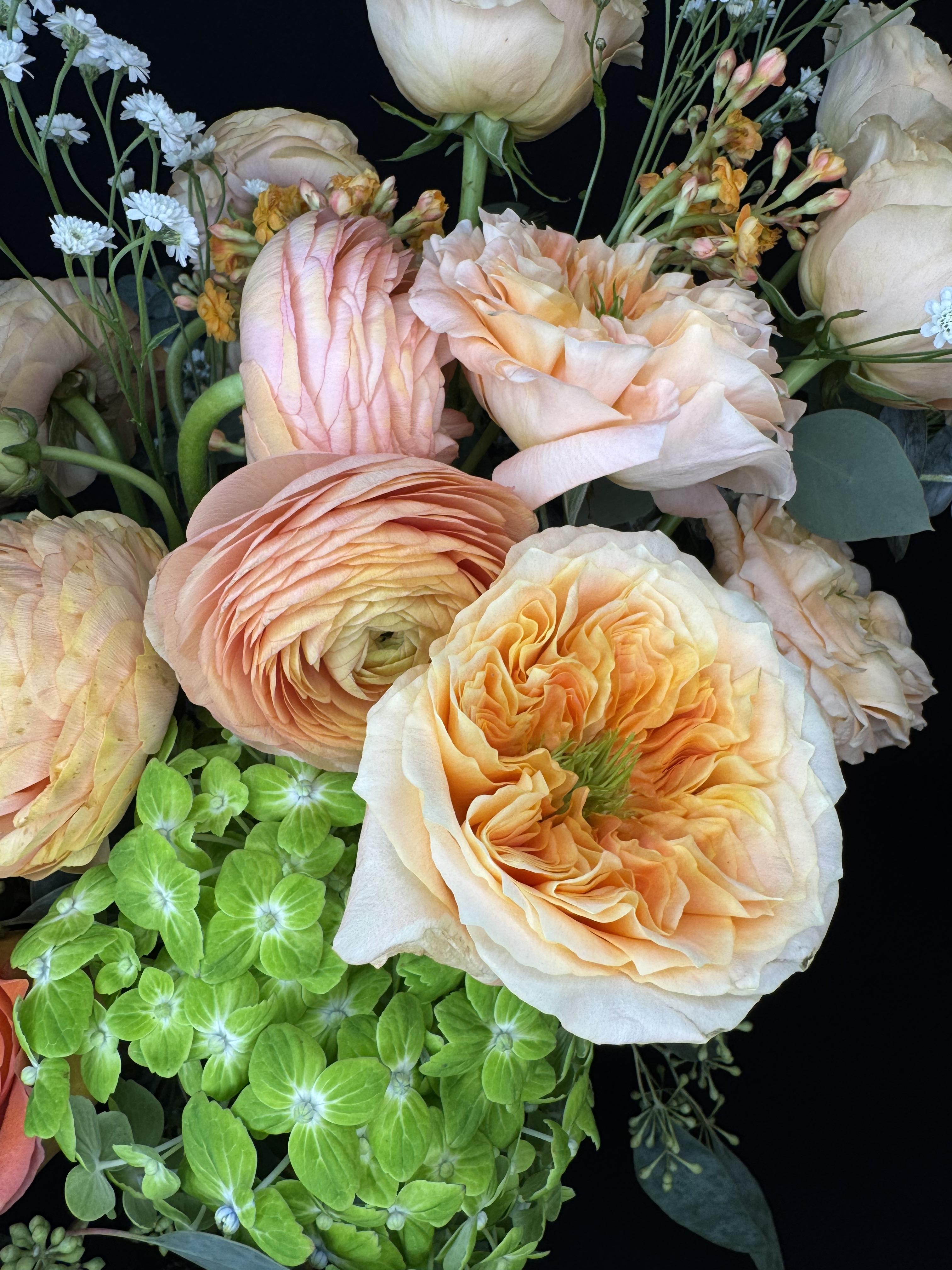 Royal Peach - image 5