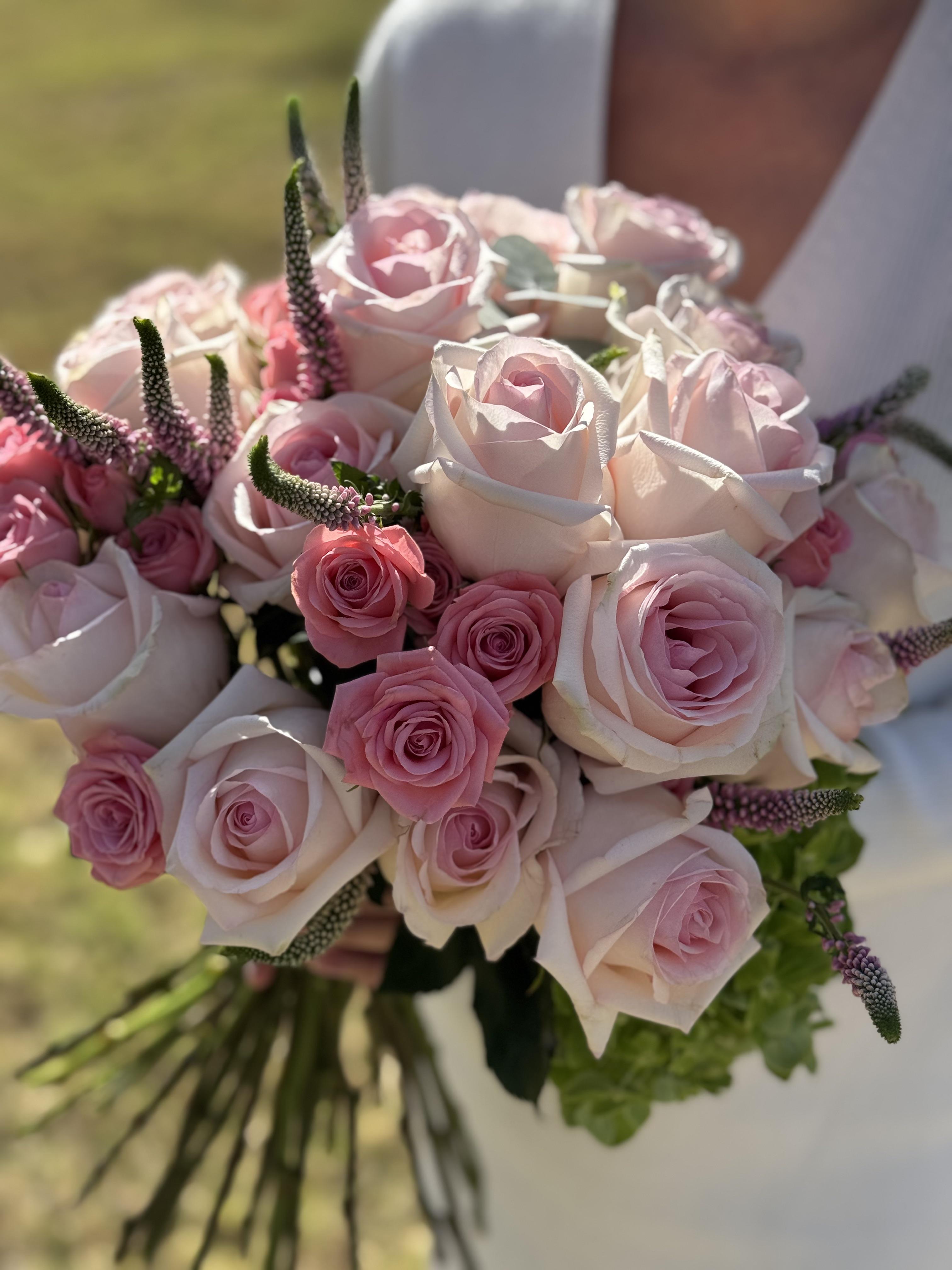 Powder Pink Rose - image 2