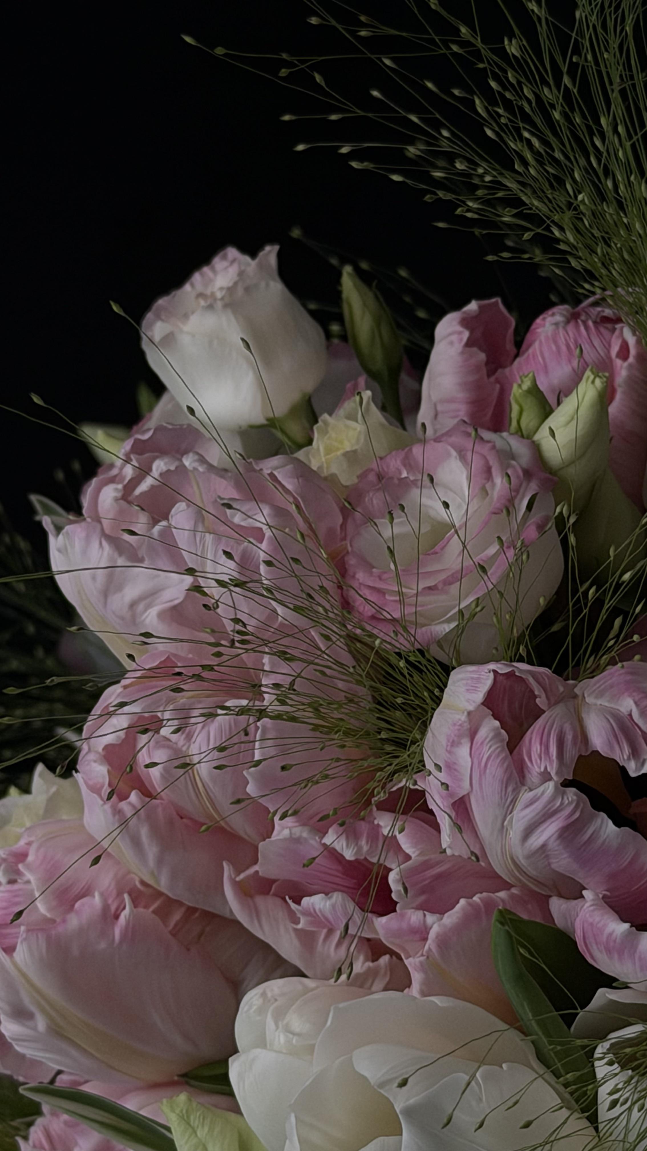 Velvet Blush - image 5