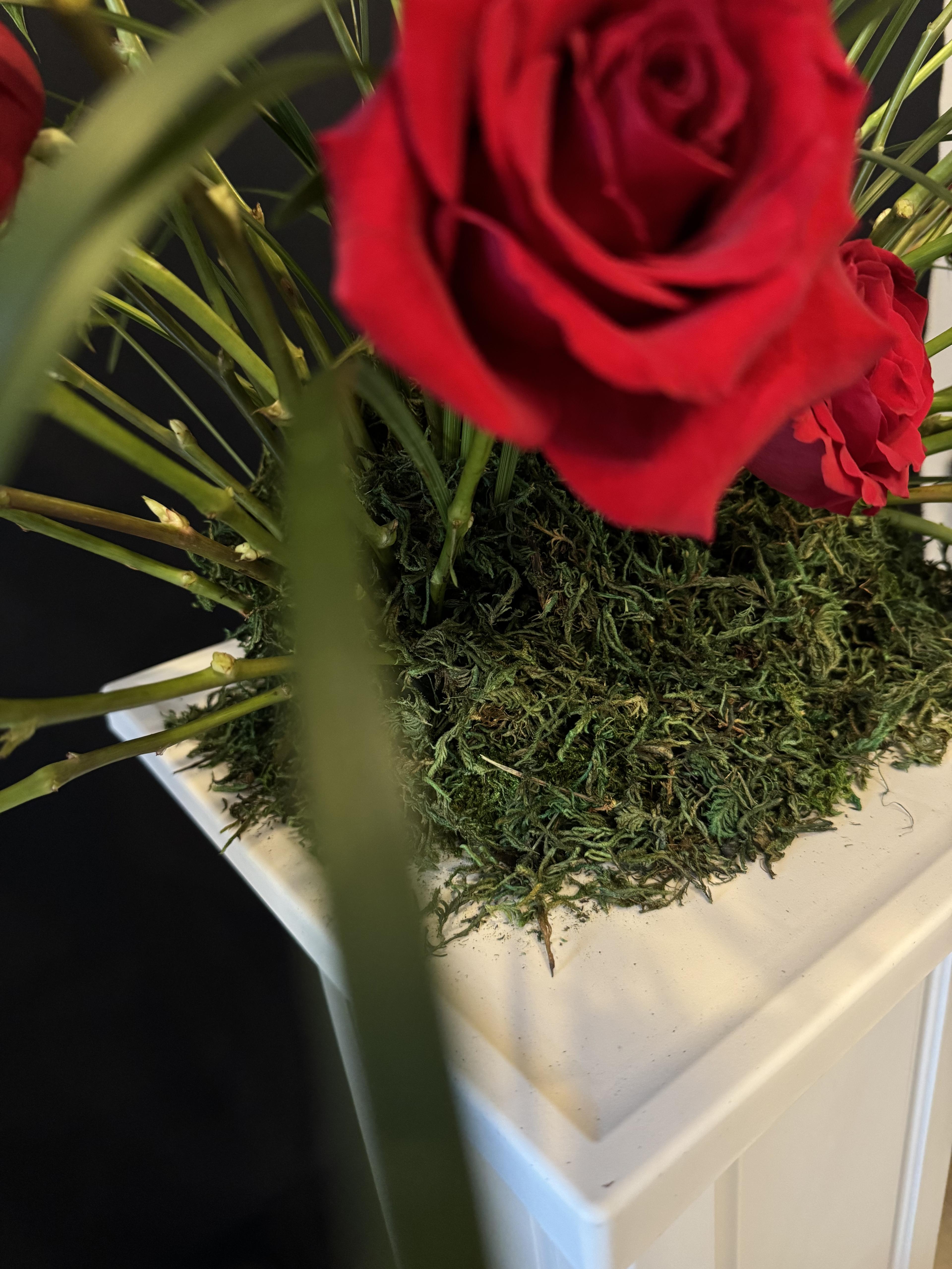 Velvet Wave - image 4