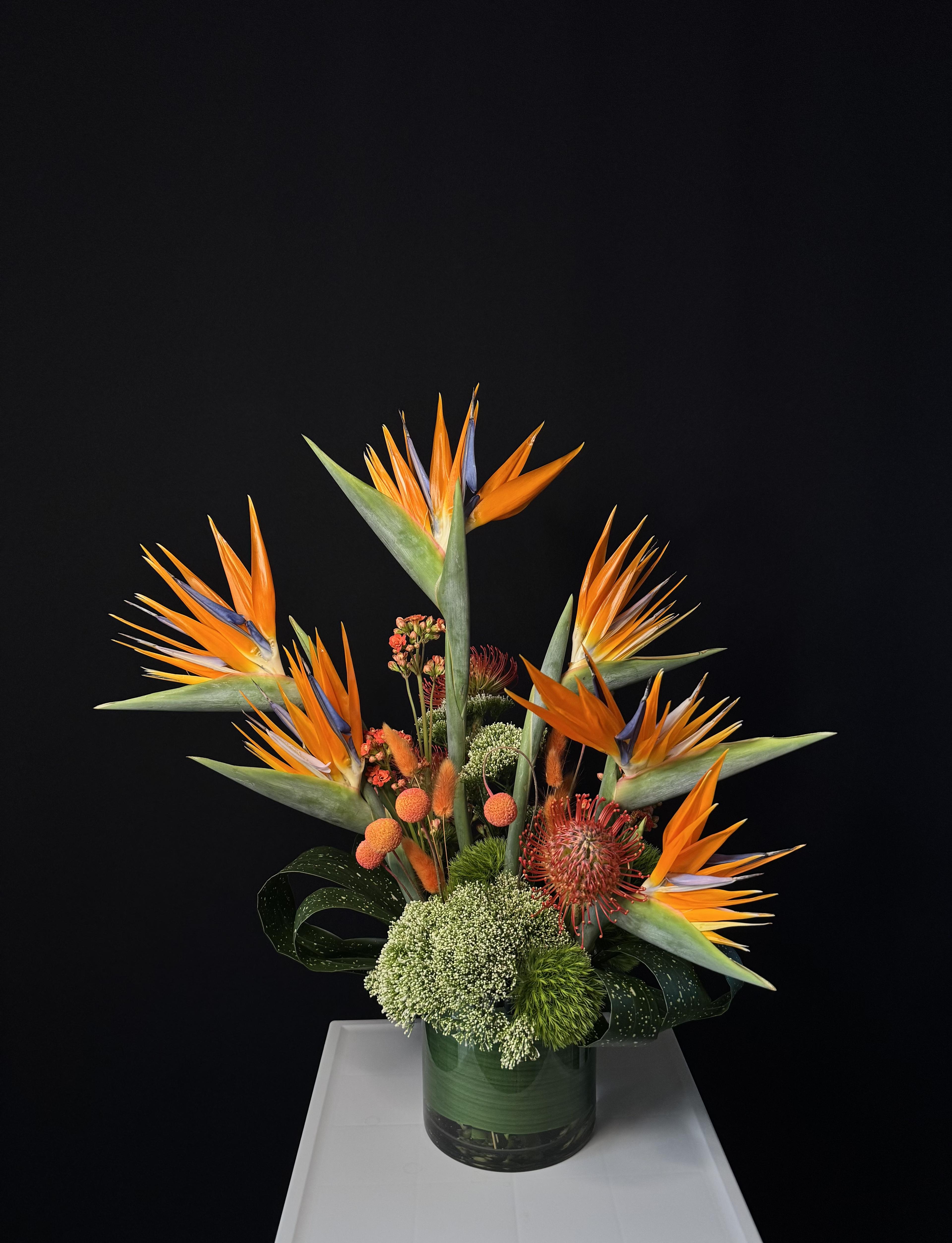 Modern Tropic - image 5