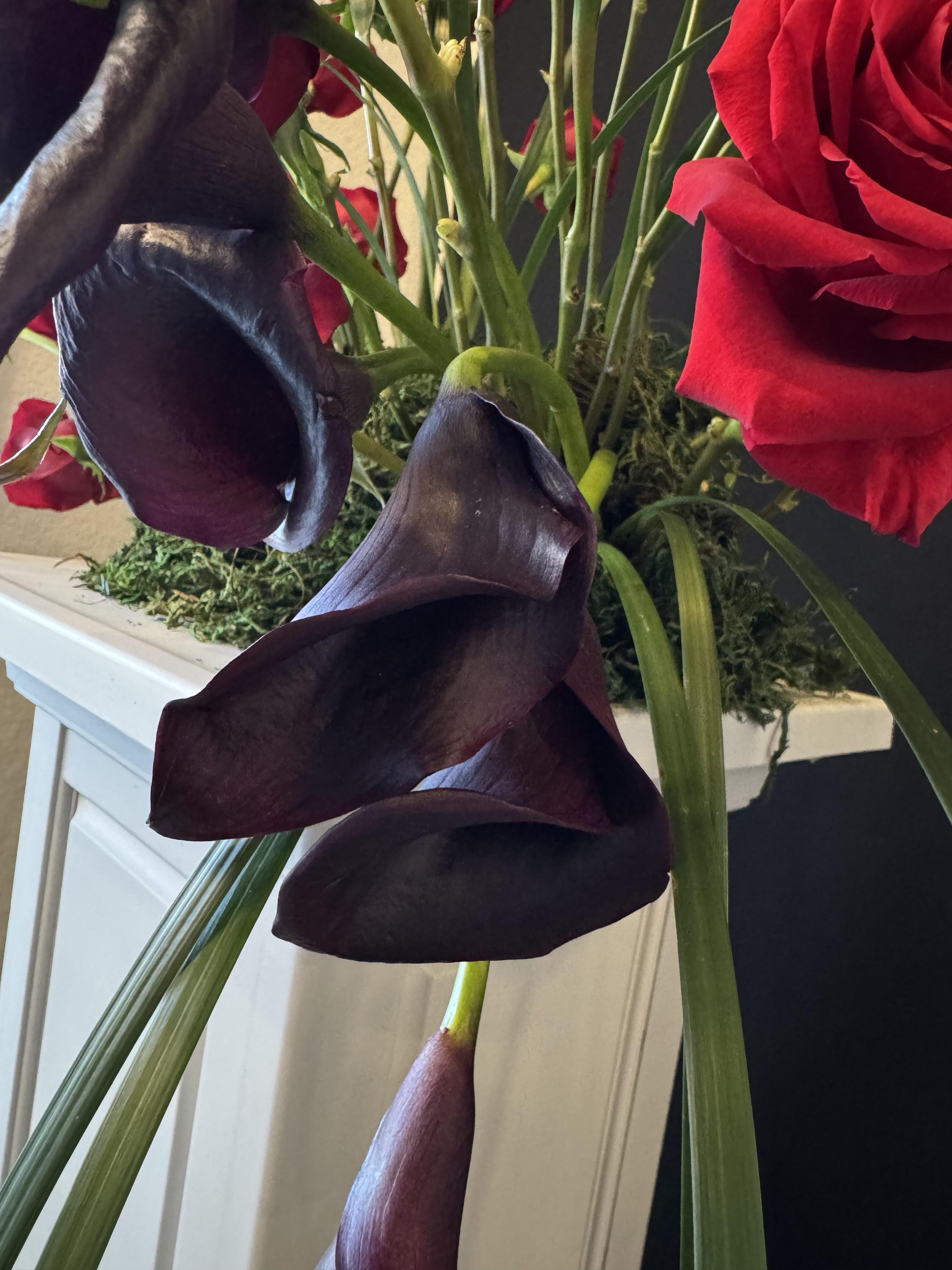 Velvet Wave - image 3