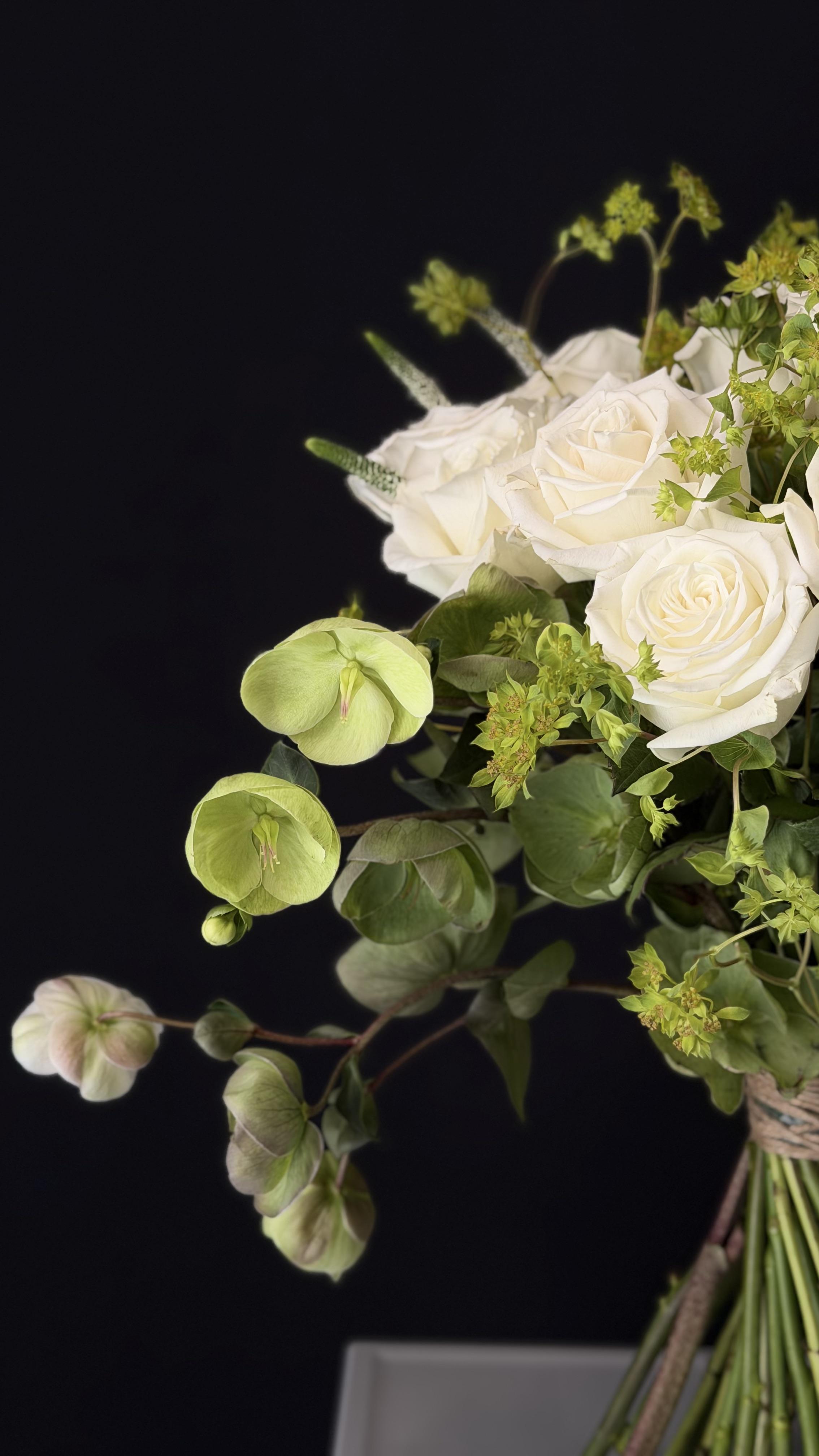 Velvet Ivory - image 2