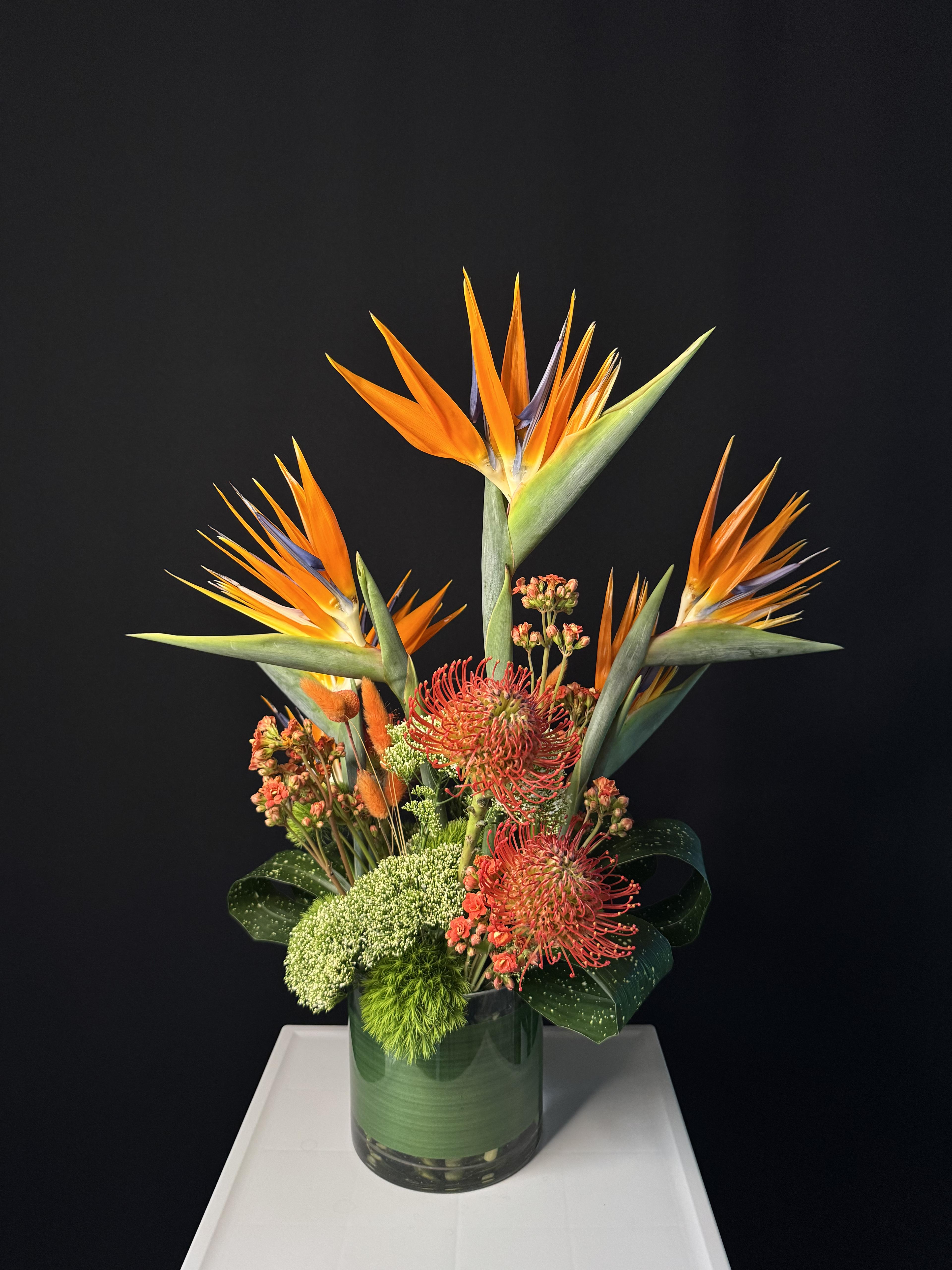 Modern Tropic - image 4