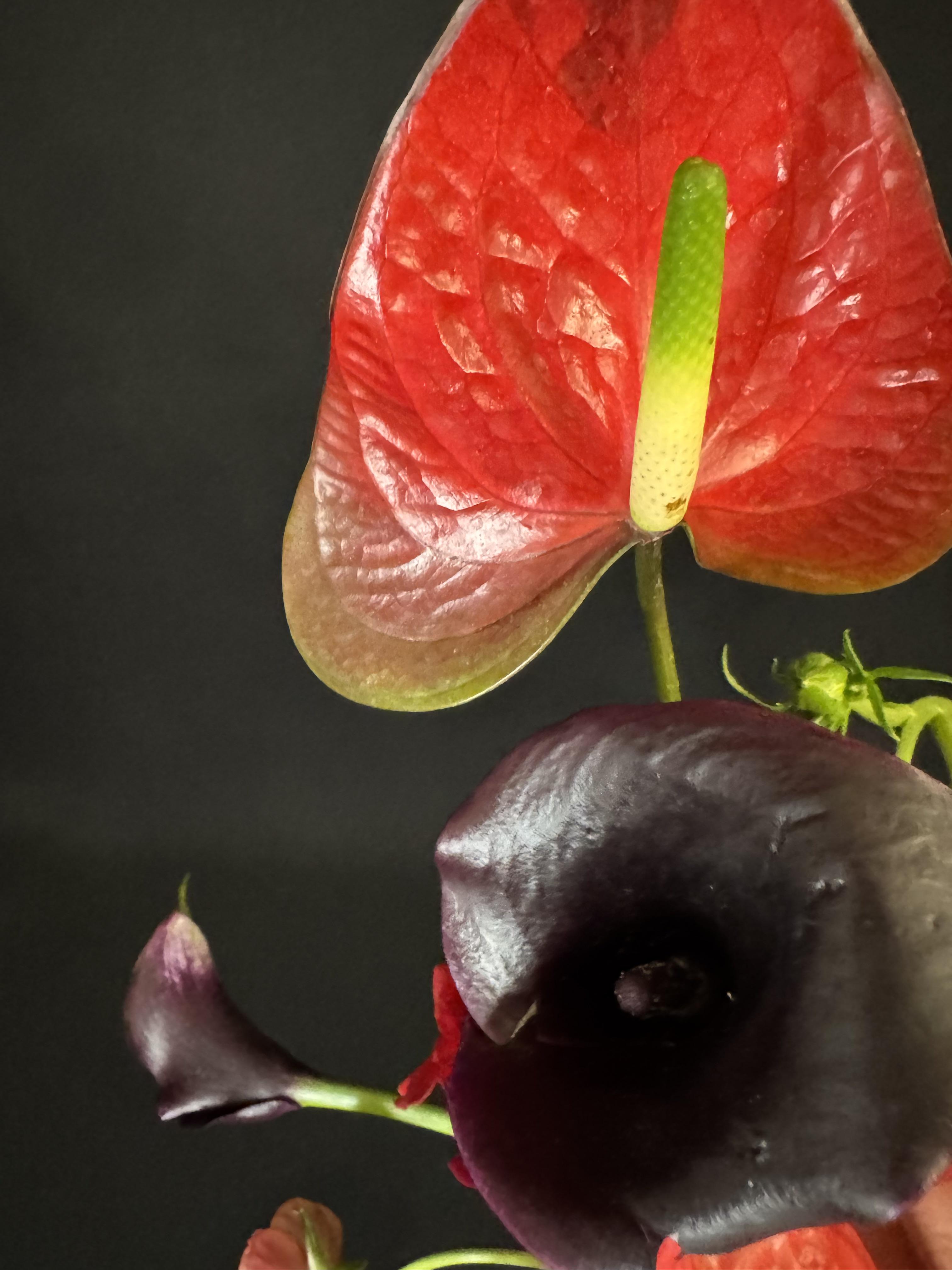 Velvet Gesture - image 3